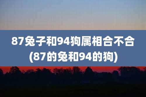 87兔子和94狗属相合不合(87的兔和94的狗)