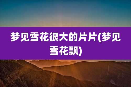 梦见雪花很大的片片(梦见雪花飘)