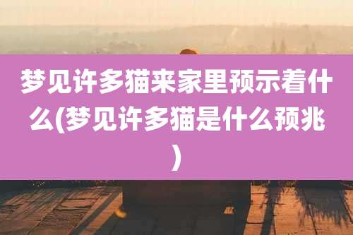 梦见许多猫来家里预示着什么(梦见许多猫是什么预兆)
