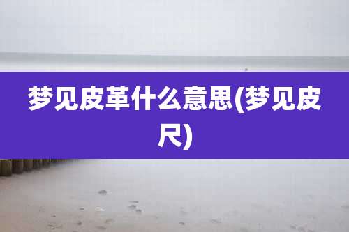 梦见皮革什么意思(梦见皮尺)