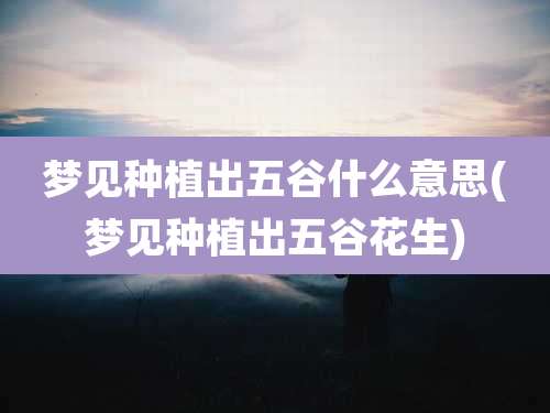 梦见种植出五谷什么意思(梦见种植出五谷花生)