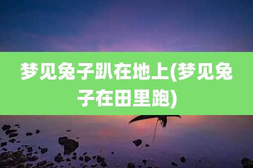 梦见兔子趴在地上(梦见兔子在田里跑)