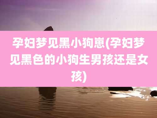 孕妇梦见黑小狗崽(孕妇梦见黑色的小狗生男孩还是女孩)