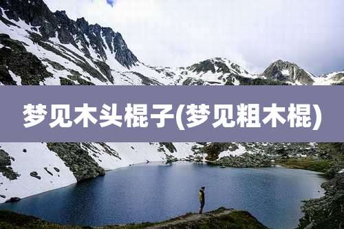 梦见木头棍子(梦见粗木棍)