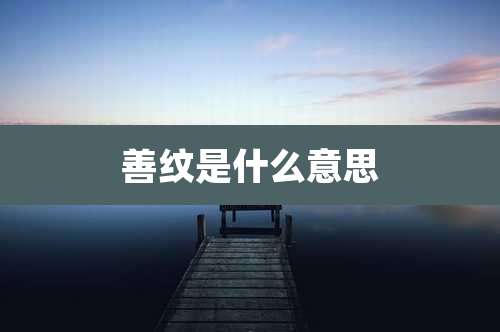 善纹是什么意思