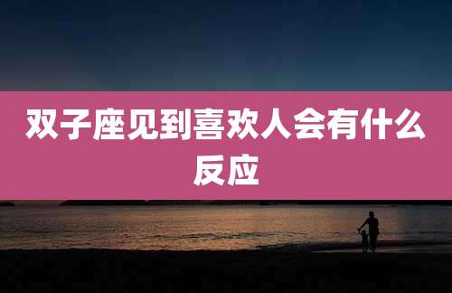 双子座见到喜欢人会有什么反应