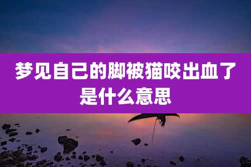 梦见自己的脚被猫咬出血了是什么意思