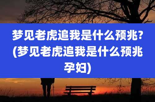 梦见老虎追我是什么预兆?(梦见老虎追我是什么预兆孕妇)