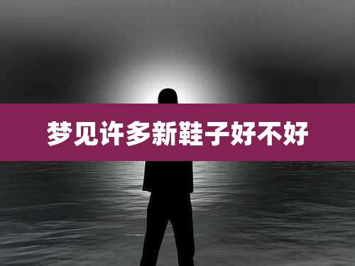 梦见许多新鞋子好不好