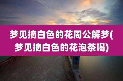 梦见摘白色的花周公解梦(梦见摘白色的花泡茶喝)