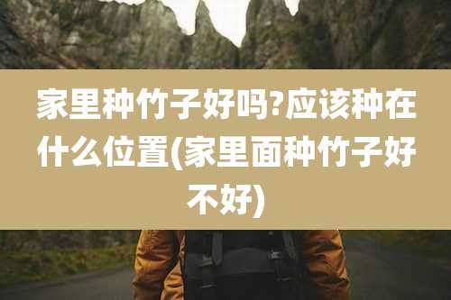 家里种竹子好吗?应该种在什么位置(家里面种竹子好不好)