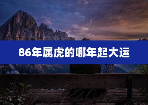 86年属虎的哪年起大运