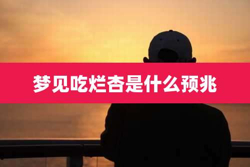 梦见吃烂杏是什么预兆