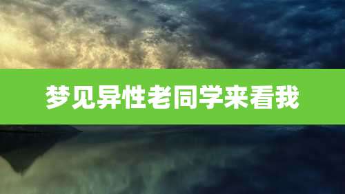 梦见异性老同学来看我
