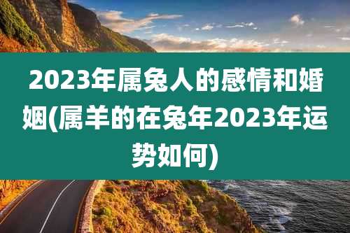 2023年属兔人的感情和婚姻(属羊的在兔年2023年运势如何)