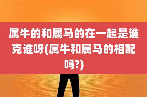 属牛的和属马的在一起是谁克谁呀(属牛和属马的相配吗?)