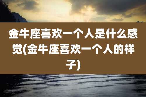 金牛座喜欢一个人是什么感觉(金牛座喜欢一个人的样子)