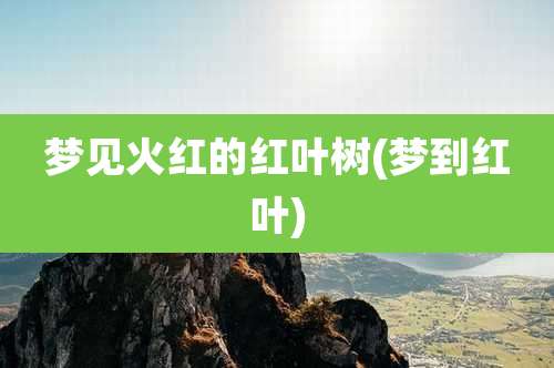 梦见火红的红叶树(梦到红叶)