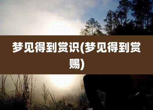 梦见得到赏识(梦见得到赏赐)