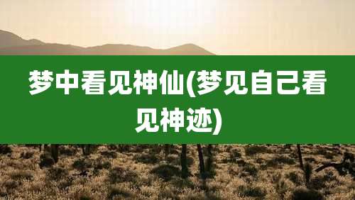 梦中看见神仙(梦见自己看见神迹)