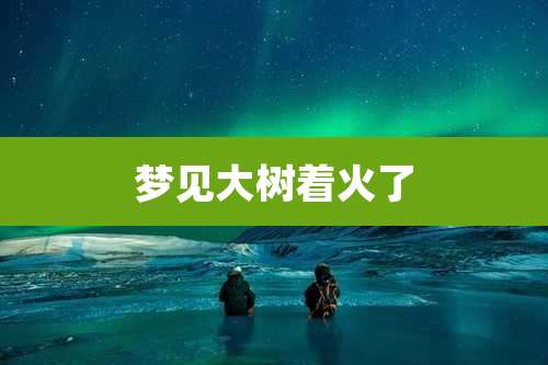 梦见大树着火了