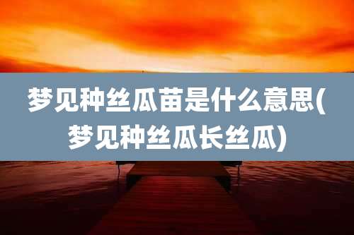 梦见种丝瓜苗是什么意思(梦见种丝瓜长丝瓜)