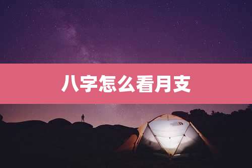 八字怎么看月支