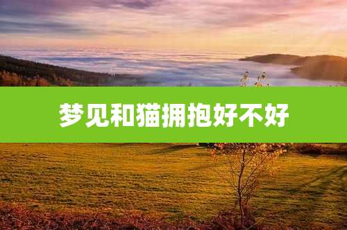 梦见和猫拥抱好不好