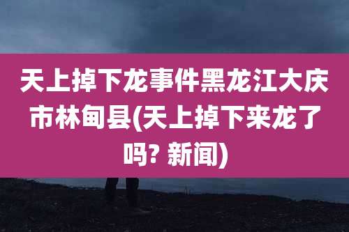 天上掉下龙事件黑龙江大庆市林甸县(天上掉下来龙了吗? 新闻)