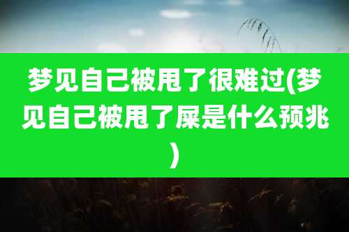 梦见自己被甩了很难过(梦见自己被甩了屎是什么预兆)