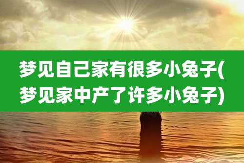 梦见自己家有很多小兔子(梦见家中产了许多小兔子)
