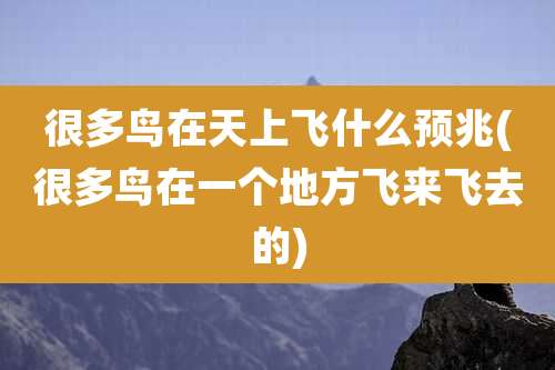 很多鸟在天上飞什么预兆(很多鸟在一个地方飞来飞去的)