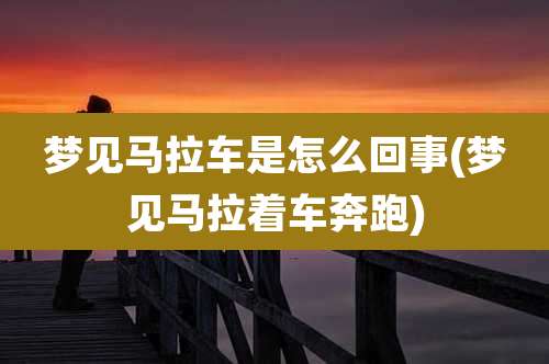 梦见马拉车是怎么回事(梦见马拉着车奔跑)