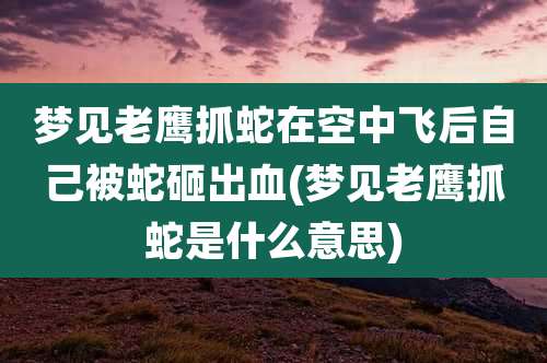 梦见老鹰抓蛇在空中飞后自己被蛇砸出血(梦见老鹰抓蛇是什么意思)