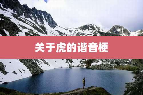 关于虎的谐音梗