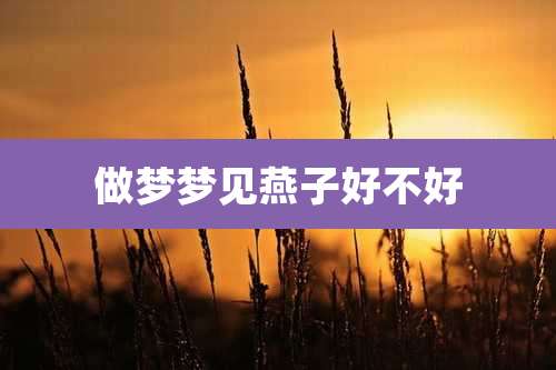 做梦梦见燕子好不好