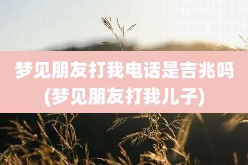 梦见朋友打我电话是吉兆吗(梦见朋友打我儿子)