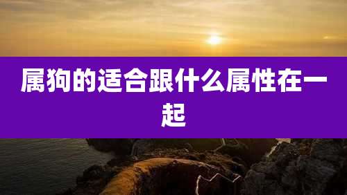 属狗的适合跟什么属性在一起