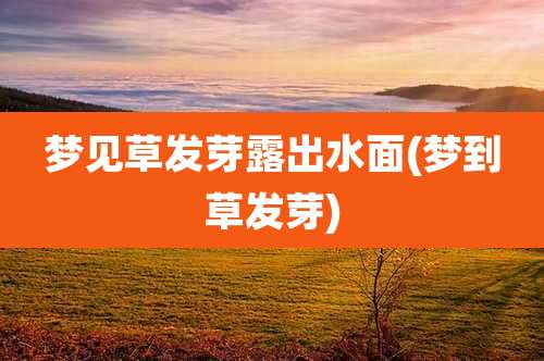 梦见草发芽露出水面(梦到草发芽)