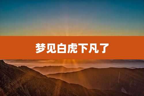 梦见白虎下凡了