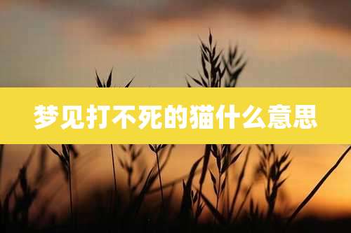 梦见打不死的猫什么意思
