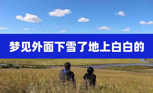 梦见外面下雪了地上白白的