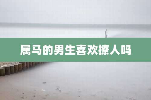 属马的男生喜欢撩人吗