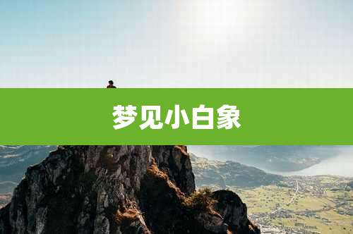 梦见小白象