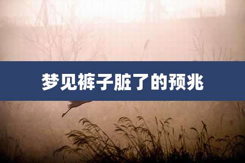 梦见裤子脏了的预兆