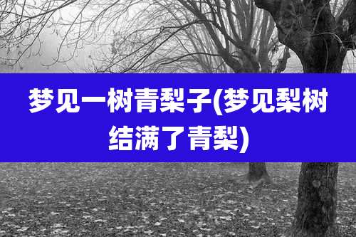 梦见一树青梨子(梦见梨树结满了青梨)