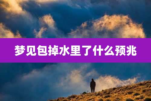 梦见包掉水里了什么预兆