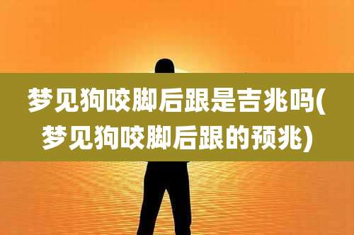 梦见狗咬脚后跟是吉兆吗(梦见狗咬脚后跟的预兆)