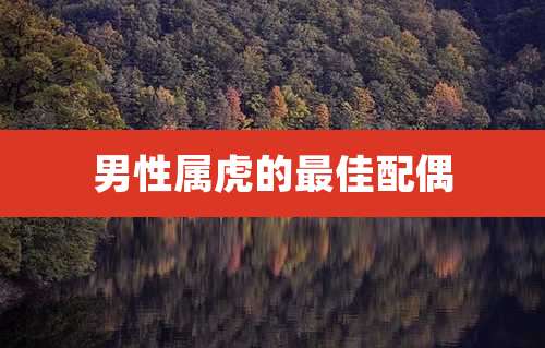 男性属虎的最佳配偶