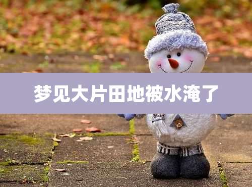 梦见大片田地被水淹了